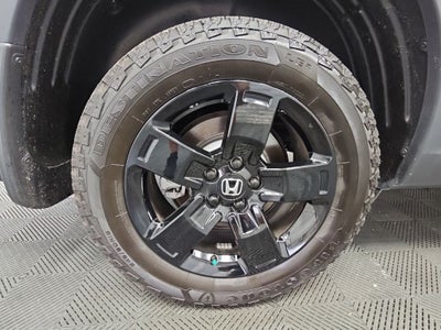 2025 Honda Ridgeline Black Edition