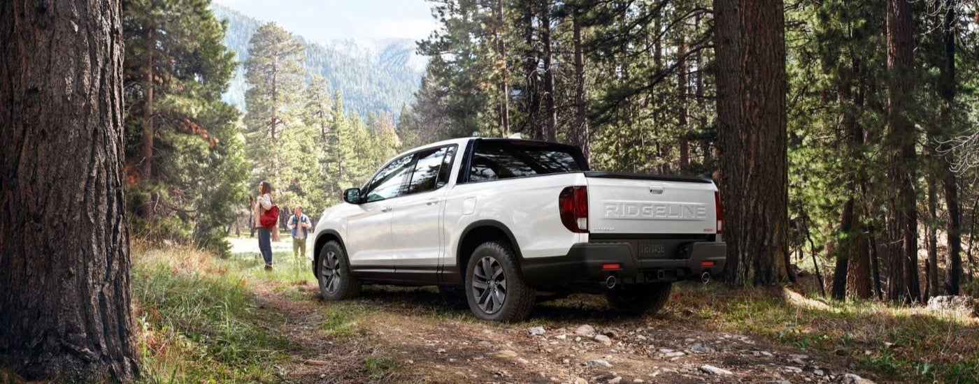 A white 2024 Honda Ridgeline TrailSport parked in a forest.